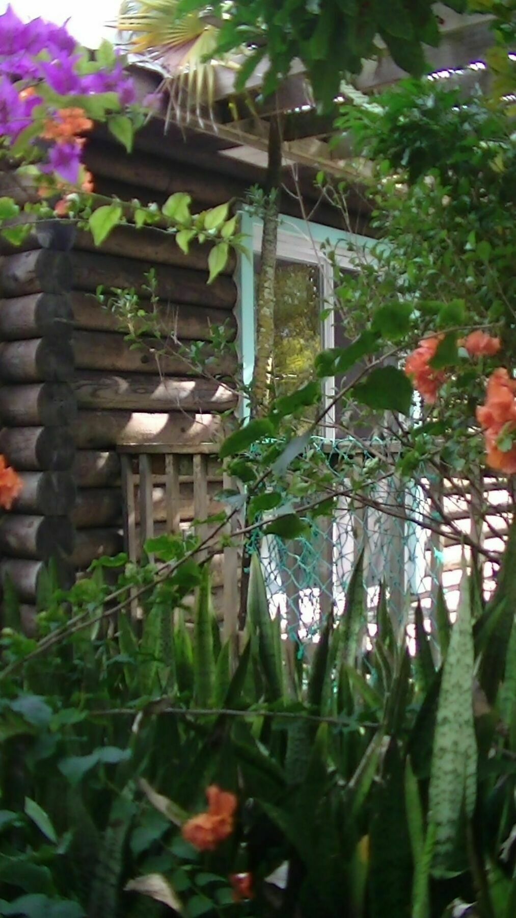 Oceanfrontier Hideaway Hotel Great Guana Cay Exterior photo